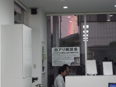 虹しろあり.jpgのサムネール画像