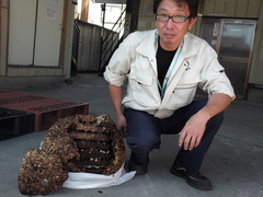 小椋さん.jpg