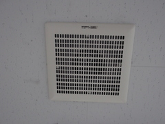 DSCF2696.jpg