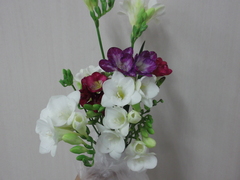 DSCF3093.jpg
