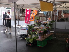 DSCF9354.jpg
