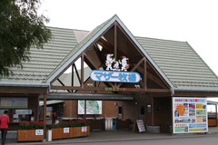 マザー.jpg