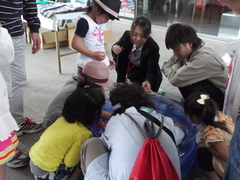 DSCF3172.JPG
