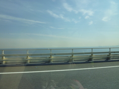 P1080773.JPG