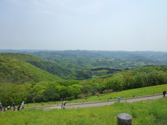 P1080847.JPG
