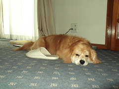 DSCF0354.jpg
