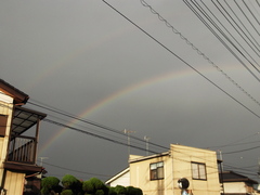 DSCF1330.jpg