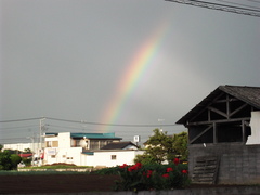 DSCF3231.jpg