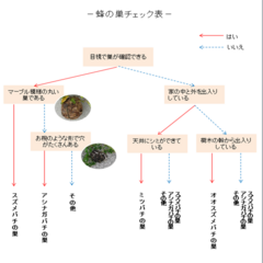 ハチ.png
