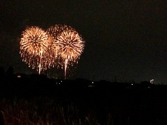 IMG_2202.JPG