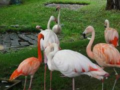 rps20130819_1403.jpg