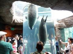 rps20130819_1419541.JPG