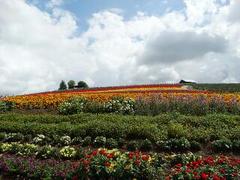 rps20130819_142507.jpg