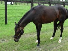rps20130819_142542.jpg