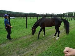 rps20130819_142615.jpg