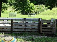 rps20130819_142719.jpg