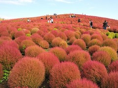 1255407061_photo.jpg