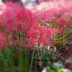 CYMERA_20130930_004528.jpg
