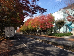 写真2.JPG