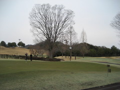 IMG_1198.JPG