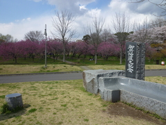 P1090625.JPG