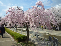 P1090631.JPG