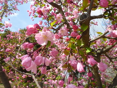 P1090638.JPG