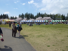 P1090646.JPG