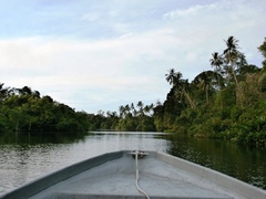 P4200097.JPG