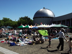 DSCF4205.JPG