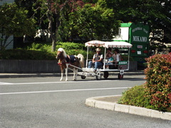 DSCF4231.JPG