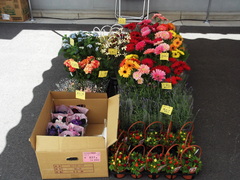 DSCF4287.JPG