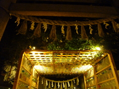 P1100035.JPG