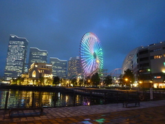P1100249.JPG