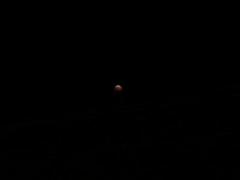 20141008_192342.jpg