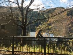 IMG_6015.JPG