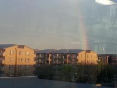 20150415_175505.jpg