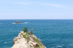 IMG_0896.JPG