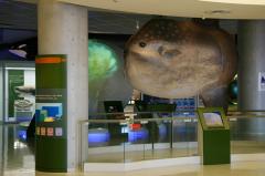 IMG_2529.JPG