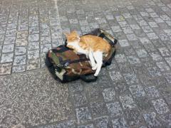 20150620_161651.jpg