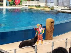 IMG_8577.JPG