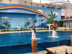 IMG_8589.JPG
