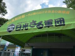 IMG_9049.JPG