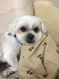 IMG_0831.jpgのサムネイル画像