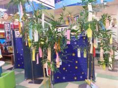 IMG_6922.JPG