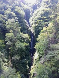 20150815_105140.jpg