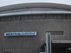 ari.JPG