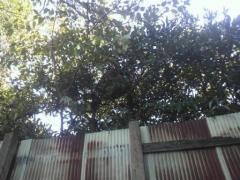 P1000002.JPG