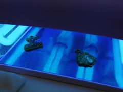 DSCF5437.JPG