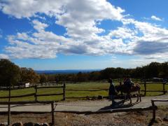 DSCN0065.JPG